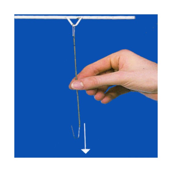 Crochet double avec ressort extensible - Extensible jusqu'à 1.50 m - Charge  maxi 3.5 kg
